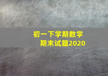 初一下学期数学期末试题2020