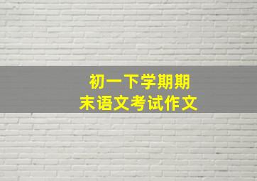 初一下学期期末语文考试作文