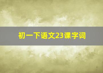 初一下语文23课字词