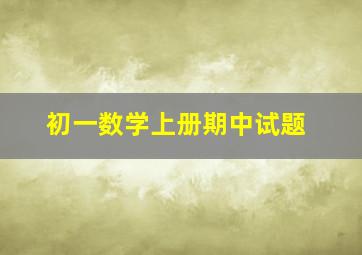 初一数学上册期中试题