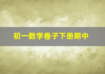 初一数学卷子下册期中