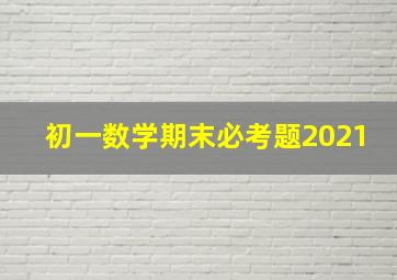 初一数学期末必考题2021