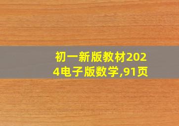 初一新版教材2024电子版数学,91页