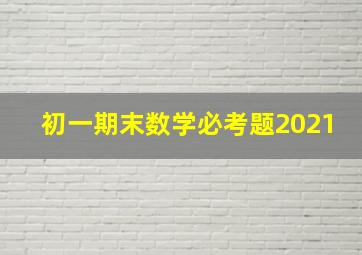 初一期末数学必考题2021