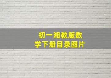 初一湘教版数学下册目录图片