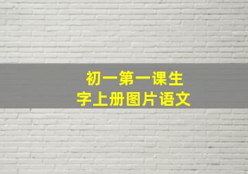 初一第一课生字上册图片语文