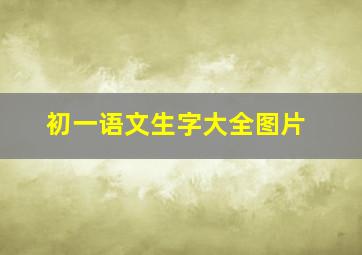 初一语文生字大全图片