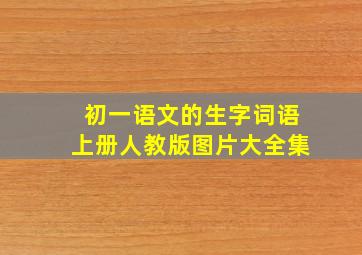 初一语文的生字词语上册人教版图片大全集