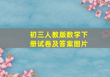 初三人教版数学下册试卷及答案图片