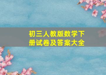 初三人教版数学下册试卷及答案大全