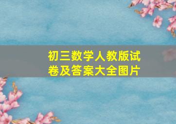 初三数学人教版试卷及答案大全图片