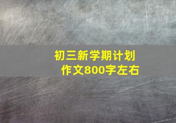 初三新学期计划作文800字左右