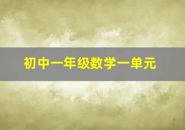 初中一年级数学一单元