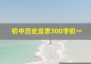 初中历史反思300字初一