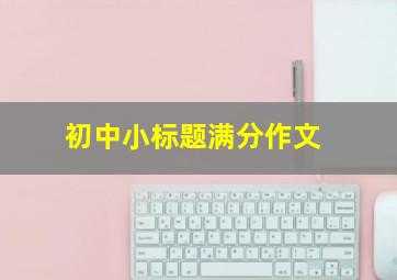 初中小标题满分作文