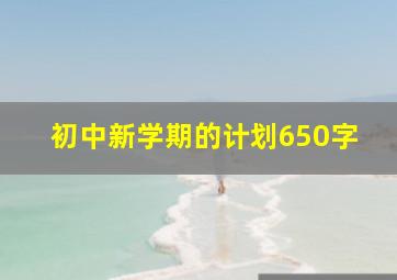 初中新学期的计划650字