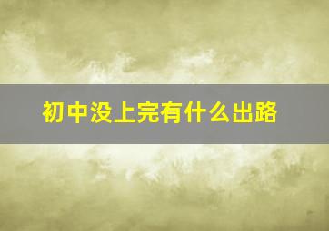 初中没上完有什么出路