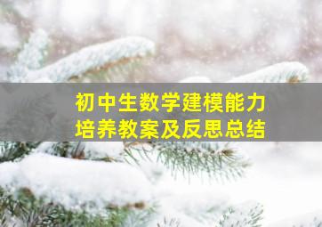 初中生数学建模能力培养教案及反思总结