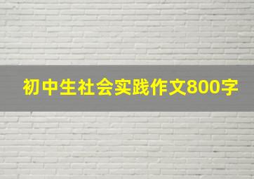 初中生社会实践作文800字