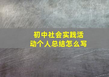 初中社会实践活动个人总结怎么写