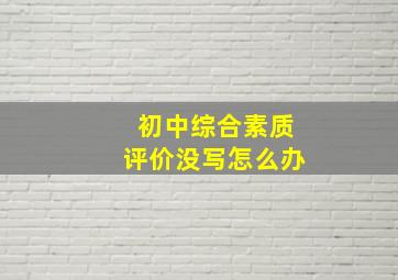 初中综合素质评价没写怎么办