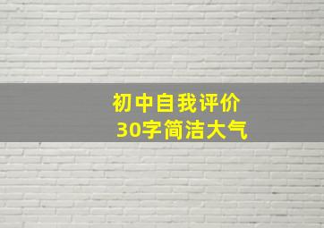 初中自我评价30字简洁大气