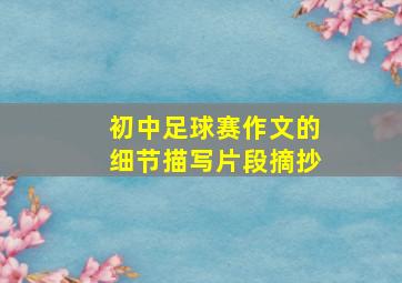 初中足球赛作文的细节描写片段摘抄