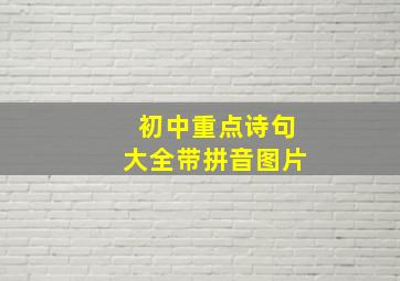 初中重点诗句大全带拼音图片