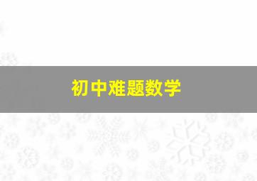 初中难题数学