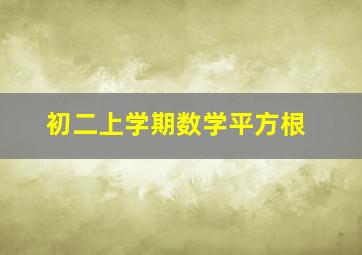 初二上学期数学平方根