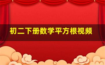 初二下册数学平方根视频