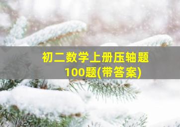 初二数学上册压轴题100题(带答案)