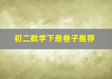 初二数学下册卷子推荐