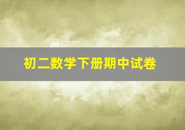 初二数学下册期中试卷