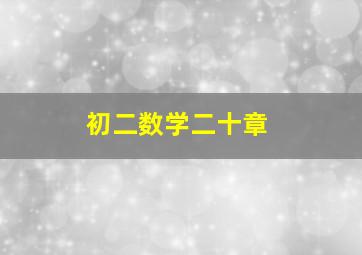 初二数学二十章