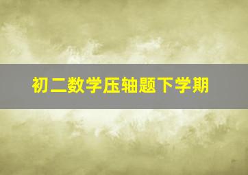 初二数学压轴题下学期