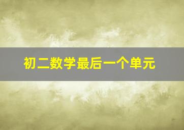 初二数学最后一个单元