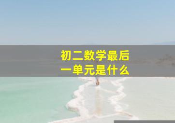 初二数学最后一单元是什么