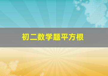 初二数学题平方根