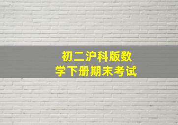 初二沪科版数学下册期末考试