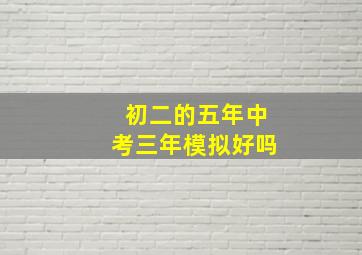 初二的五年中考三年模拟好吗