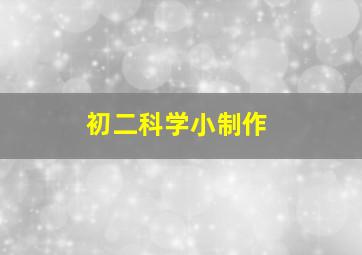 初二科学小制作