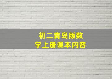 初二青岛版数学上册课本内容