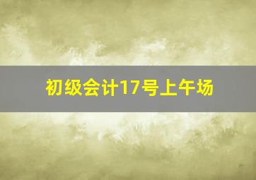 初级会计17号上午场