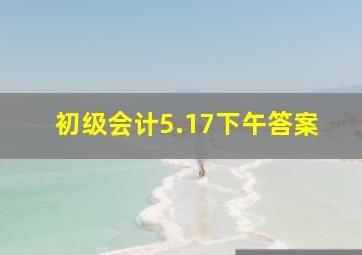 初级会计5.17下午答案