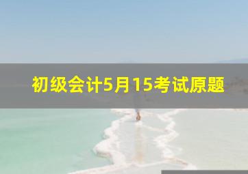 初级会计5月15考试原题