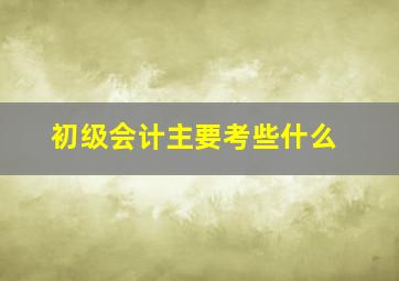 初级会计主要考些什么