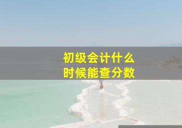 初级会计什么时候能查分数