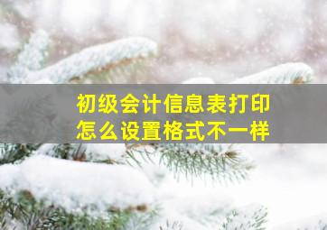 初级会计信息表打印怎么设置格式不一样