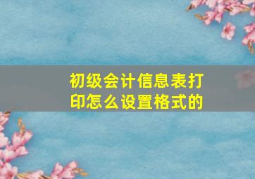 初级会计信息表打印怎么设置格式的